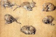 Six studies of a cat GAINSBOROUGH, Thomas